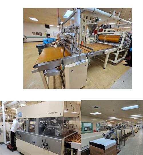 Sollich 1-Meter Enrobing Line with Depositor and Nut Dropper ...
